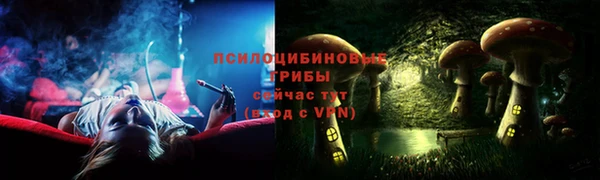 apvp Билибино