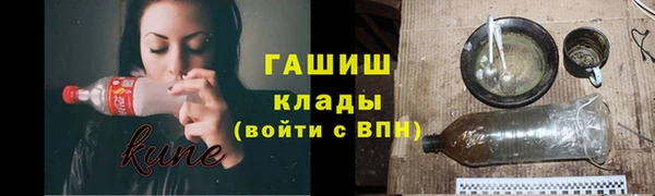 дурь Няндома