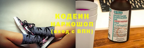 дурь Няндома