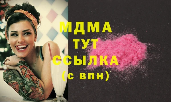дурь Няндома
