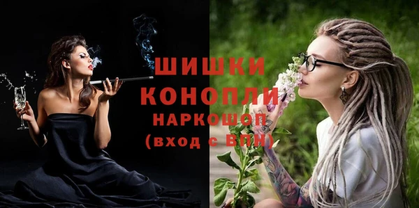 дурь Няндома
