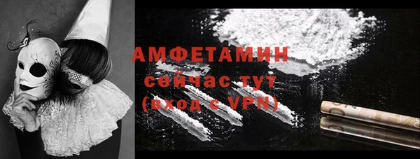 прущие грибы Осташков