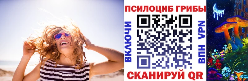 где продают   Котельнич  blacksprut зеркало  Галлюциногенные грибы Magic Shrooms 